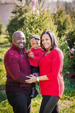 Roberts_Xmas_2015 (84 of 142)