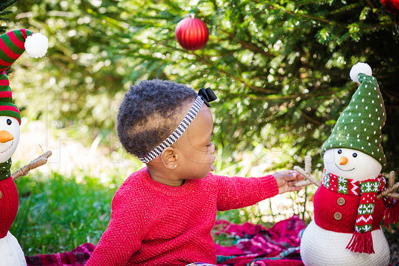 Roberts_Xmas_2015 (120 of 142)