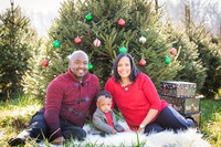 Roberts_Xmas_2015 (11 of 142)