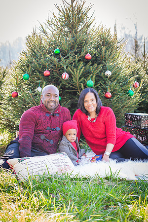 Roberts_Xmas_2015 (5 of 142)