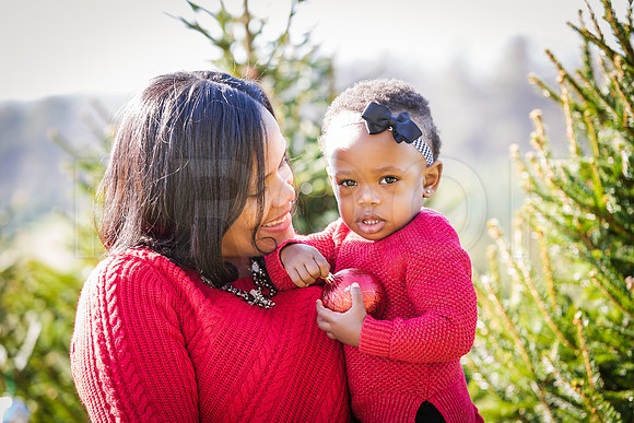 Roberts_Xmas_2015 (66 of 142)