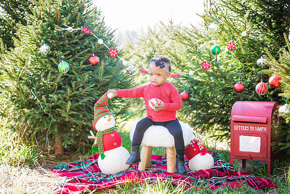 Roberts_Xmas_2015 (48 of 142)