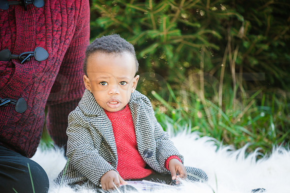 Roberts_Xmas_2015 (9 of 142)