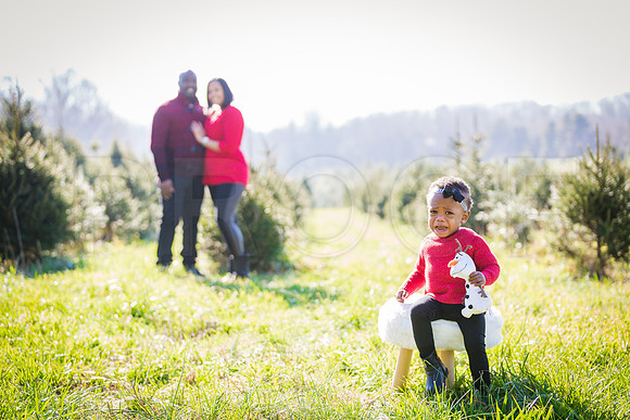 Roberts_Xmas_2015 (139 of 142)