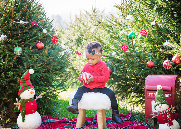 Roberts_Xmas_2015 (40 of 142)