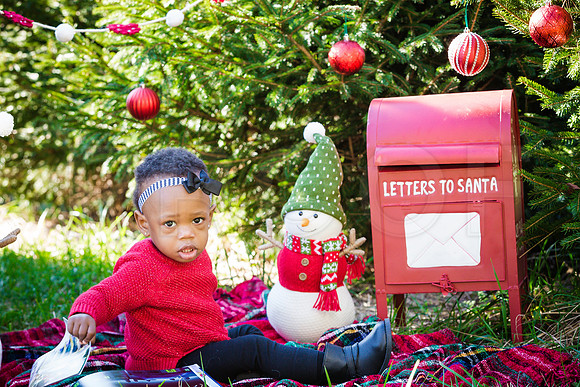 Roberts_Xmas_2015 (123 of 142)