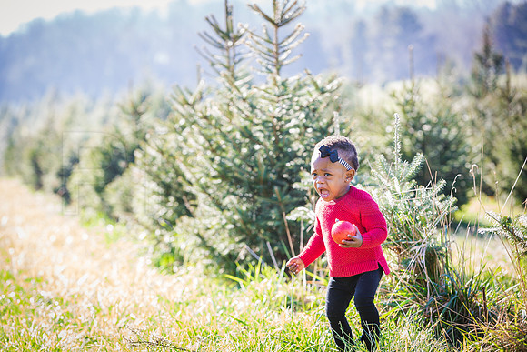Roberts_Xmas_2015 (96 of 142)