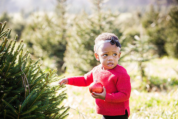 Roberts_Xmas_2015 (93 of 142)