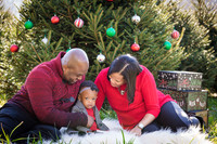 Roberts_Xmas_2015 (16 of 142)
