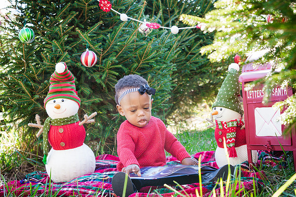 Roberts_Xmas_2015 (129 of 142)