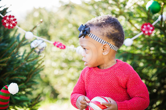 Roberts_Xmas_2015 (54 of 142)