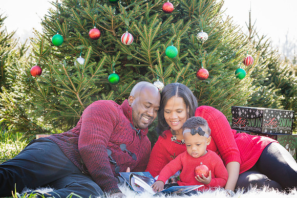 Roberts_Xmas_2015 (111 of 142)
