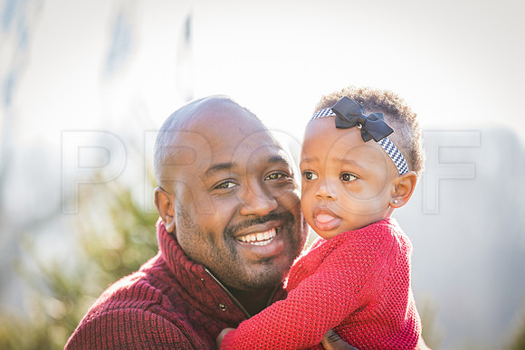 Roberts_Xmas_2015 (26 of 142)