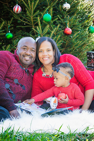 Roberts_Xmas_2015 (108 of 142)