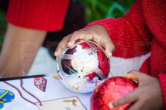 Roberts_Xmas_2015 (117 of 142)