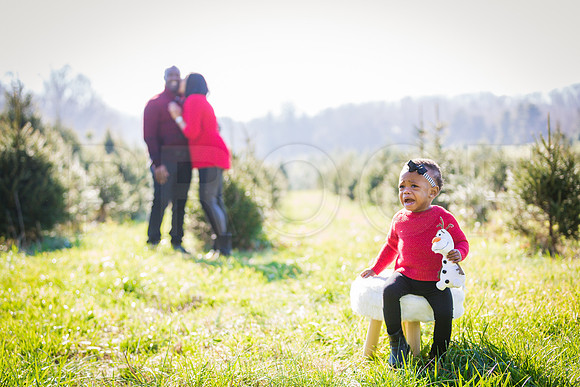 Roberts_Xmas_2015 (140 of 142)