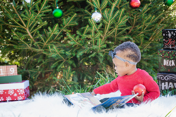 Roberts_Xmas_2015 (104 of 142)