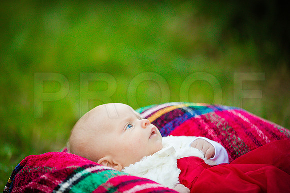 Kuzio_Mini_2015-102