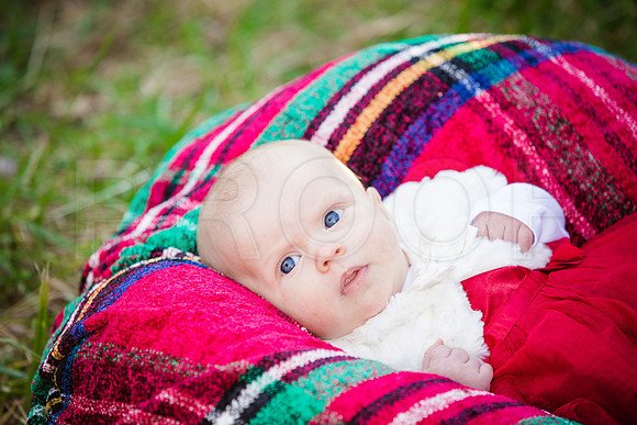 Kuzio_Mini_2015-112