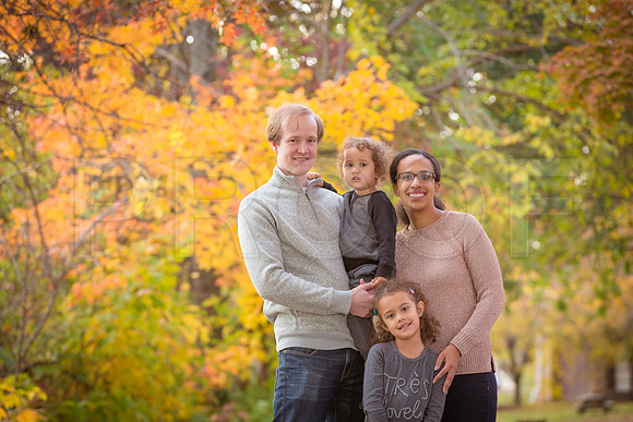 Illumfamilymini2015forprinting-12