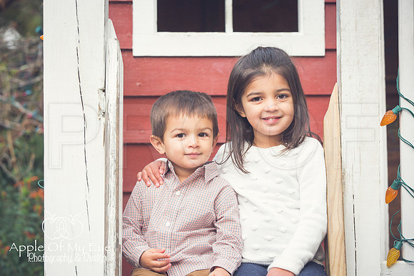 Patel_Peterson_Family_Fall_2015_Sharing-2
