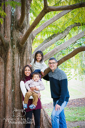 Patel_Peterson_Family_Fall_2015_Sharing-5