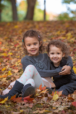 Illumfamilymini2015forsharing-12