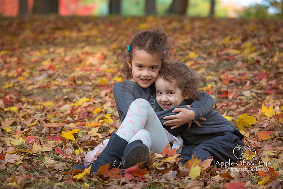 Illumfamilymini2015forsharing-11