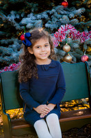 Kennedy Family Tree Farm Mini Session for Printing