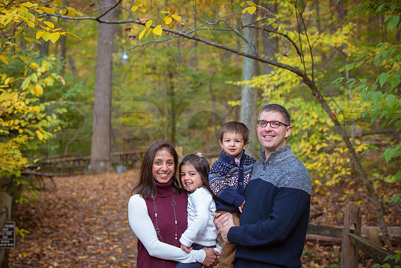 Patel_Peterson_Family_Fall_2015-4