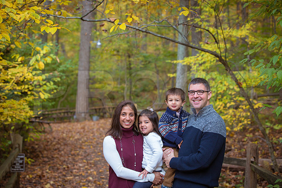 Patel_Peterson_Family_Fall_2015-3