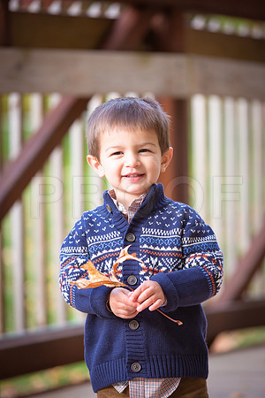 Patel_Peterson_Family_Fall_2015-55