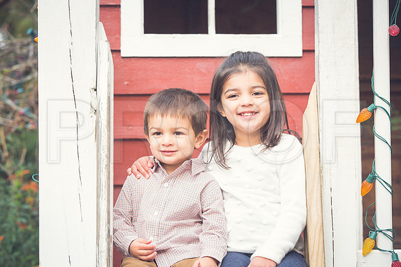 Patel_Peterson_Family_Fall_2015-142