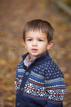 Patel_Peterson_Family_Fall_2015-12