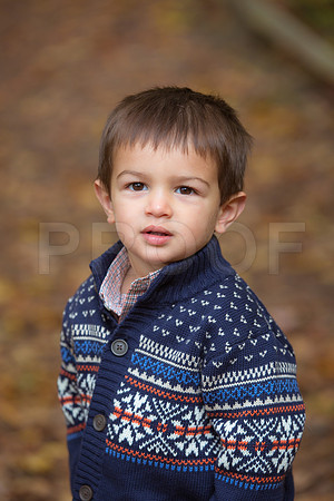 Patel_Peterson_Family_Fall_2015-13