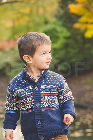 Patel_Peterson_Family_Fall_2015-72