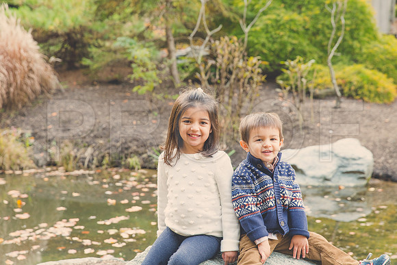 Patel_Peterson_Family_Fall_2015-74