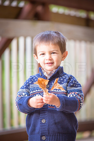 Patel_Peterson_Family_Fall_2015-54