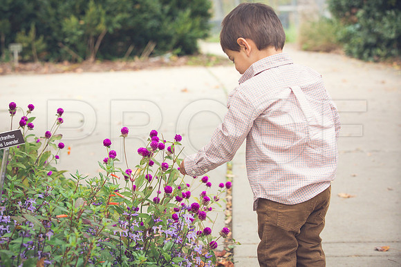 Patel_Peterson_Family_Fall_2015-143