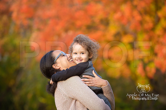 Illumfamilymini2015forsharing-5