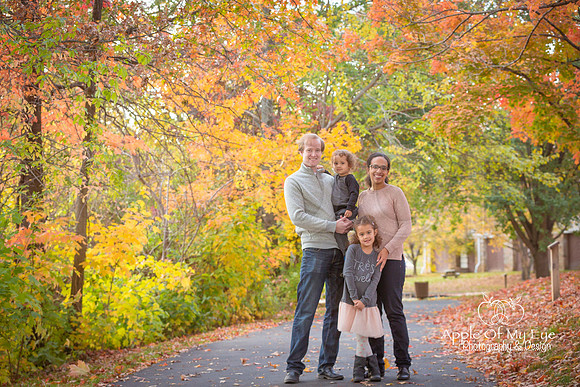 Illumfamilymini2015forsharing-1