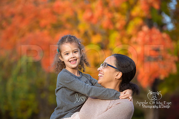 Illumfamilymini2015forsharing-4