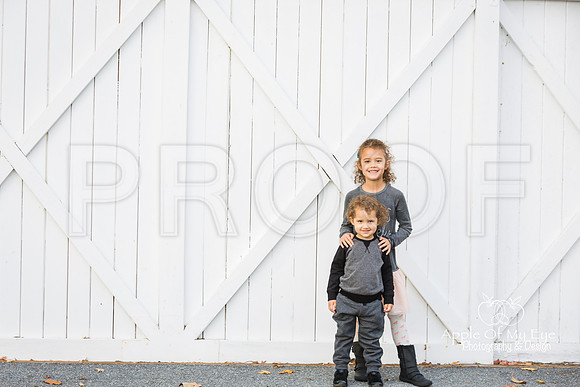 Illumfamilymini2015forsharing-8