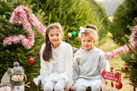 Fitzgerald  Holiday Mini Session 2017 for Printing