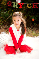 Fitzgerald Holiday Mini Session 2016 Downloads