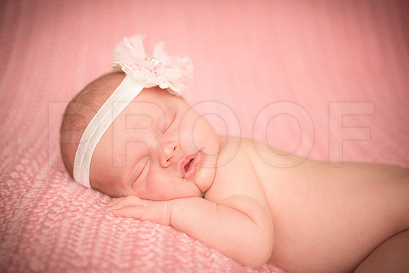 Gwenforprinting-20