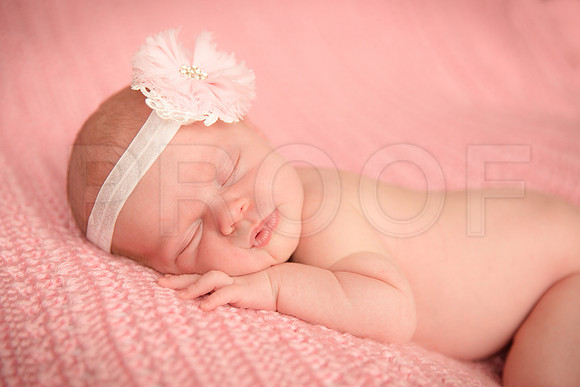 Gwenforprinting-18