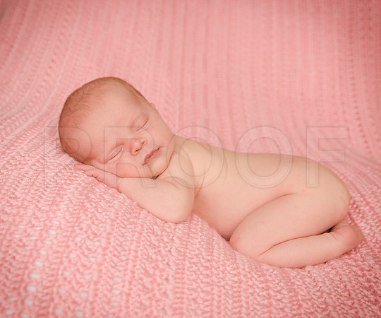 Gwenforprinting-15