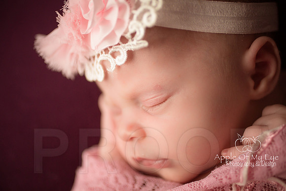 Gwenforprinting-33