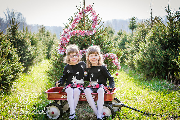 Buchman_Xmas_2015_Sharing (3 of 5)